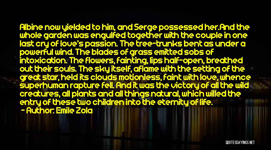 One Star In The Sky Quotes By Emile Zola