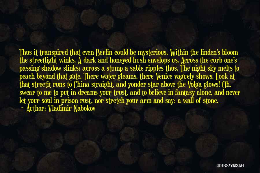 One Star In The Sky Quotes By Vladimir Nabokov