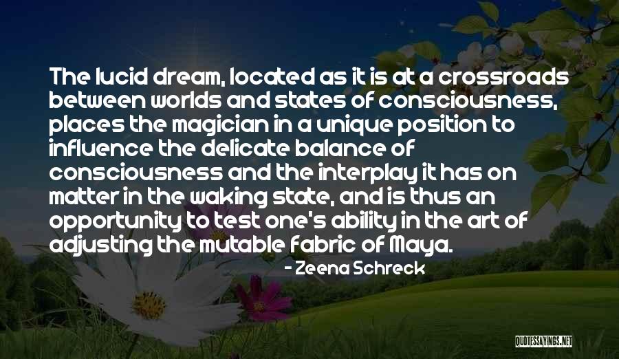 One State Many Worlds Quotes By Zeena Schreck One State Many Worlds Quotes By Zeena Schreck