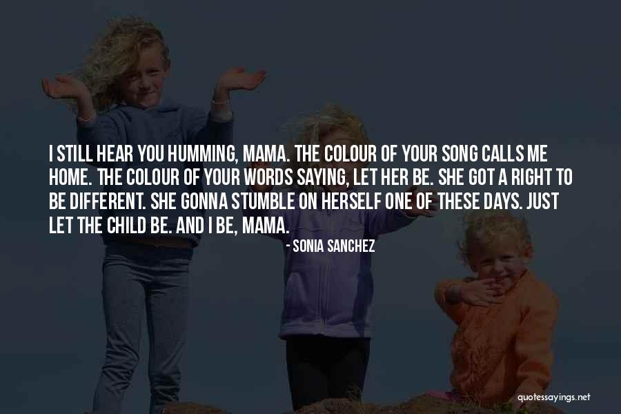 One Stumble Quotes By Sonia Sanchez One Stumble Quotes By Sonia Sanchez