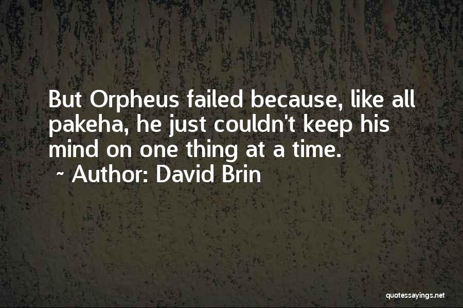 One Thing At A Time Quotes By David Brin