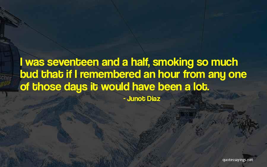 One Those Days Quotes By Junot Diaz