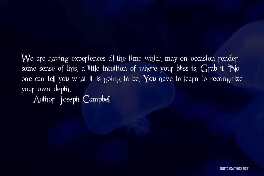 One Time Experiences Quotes By Joseph Campbell