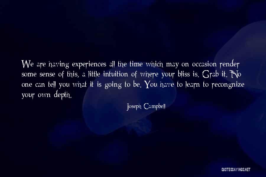 One Time Experiences Quotes By Joseph Campbell