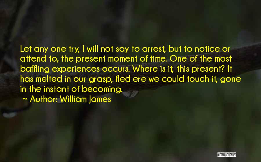 One Time Experiences Quotes By William James