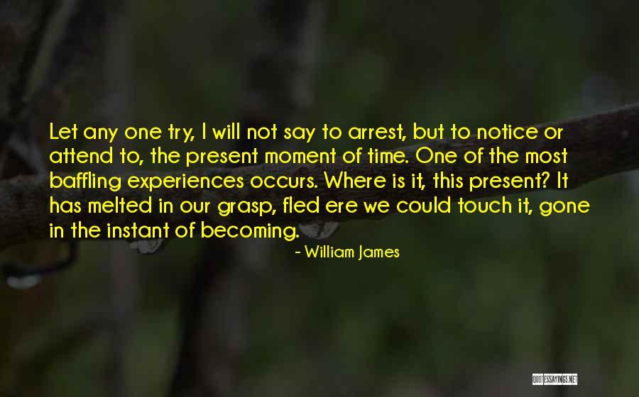 One Time Experiences Quotes By William James