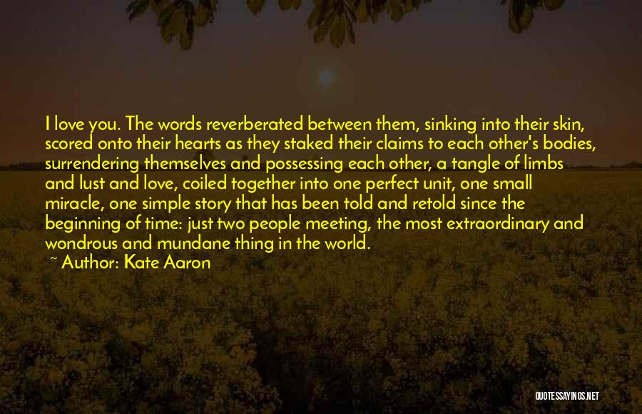 One Time Meeting Quotes By Kate Aaron