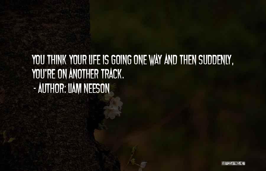 One Way Life Quotes By Liam Neeson