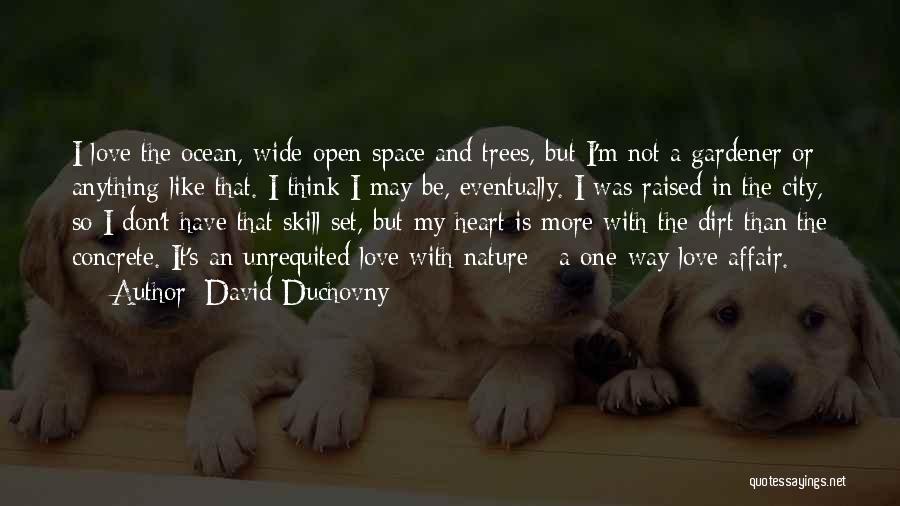 One Way Love Affair Quotes By David Duchovny