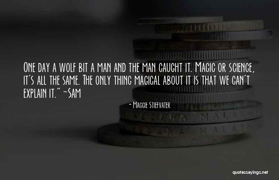 One Wolf Quotes By Maggie Stiefvater One Wolf Quotes By Maggie Stiefvater