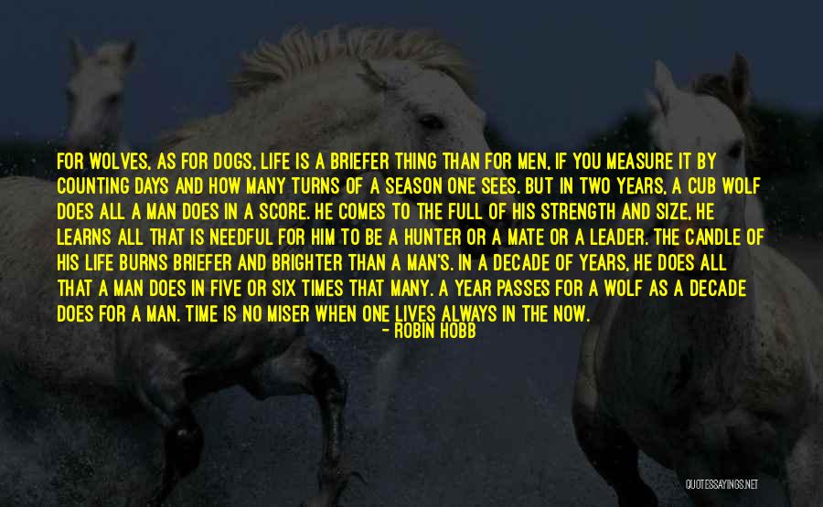 One Wolf Quotes By Robin Hobb One Wolf Quotes By Robin Hobb