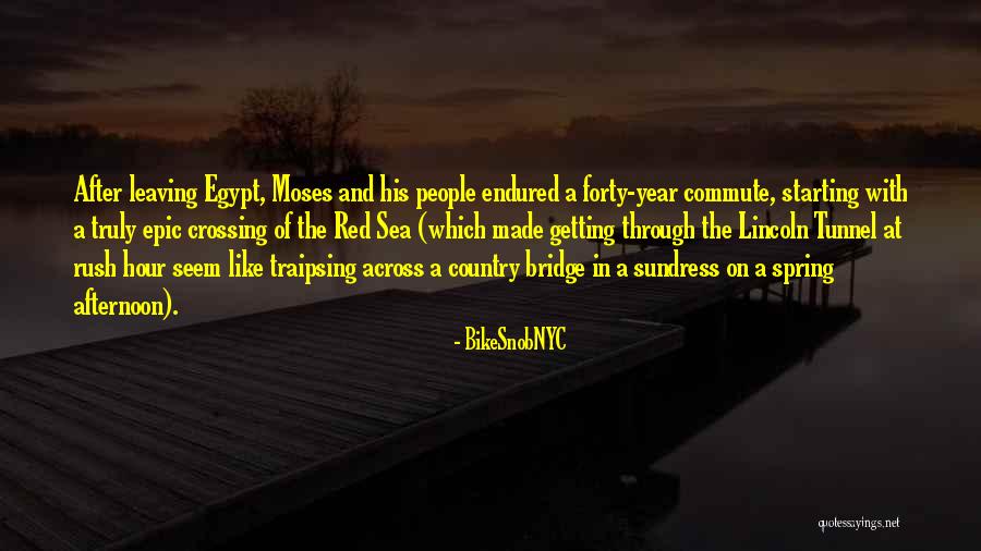 One Year Bible Quotes By BikeSnobNYC One Year Bible Quotes By BikeSnobNYC