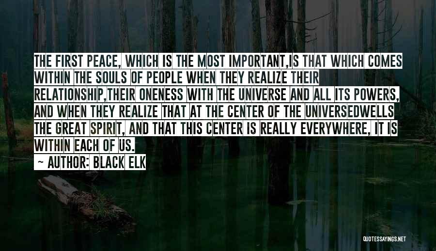 Oneness Quotes By Black Elk