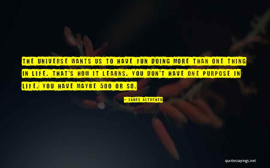One's Purpose In Life Quotes By James Altucher One's Purpose In Life Quotes By James Altucher