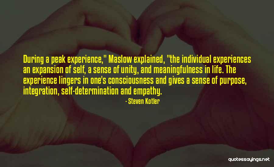 One's Purpose In Life Quotes By Steven Kotler One's Purpose In Life Quotes By Steven Kotler