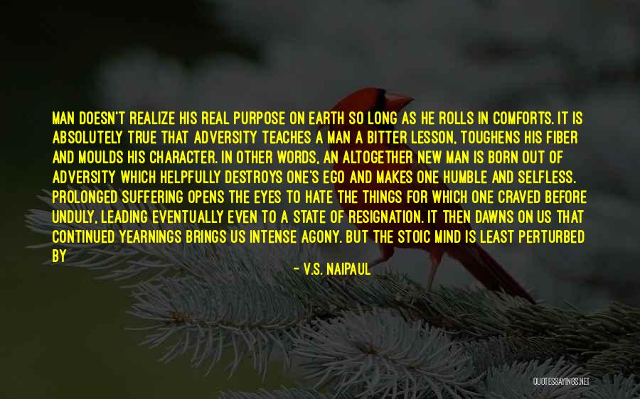 One's Purpose In Life Quotes By V.S. Naipaul One's Purpose In Life Quotes By V.S. Naipaul