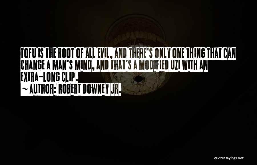 One's Roots Quotes By Robert Downey Jr.