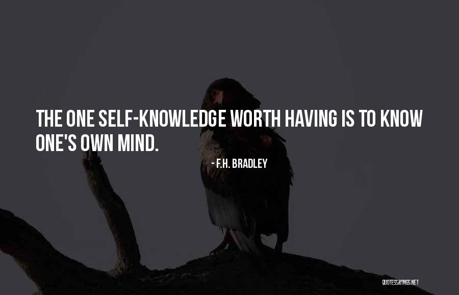 One's Self Worth Quotes By F.H. Bradley