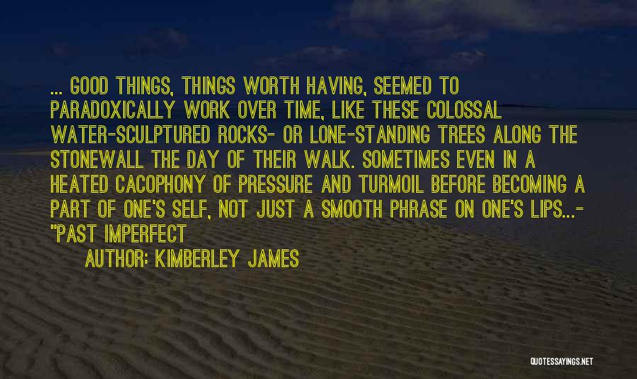 One's Self Worth Quotes By Kimberley James