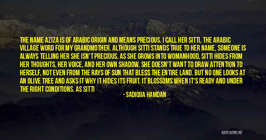 One's Self Worth Quotes By Sadiqua Hamdan