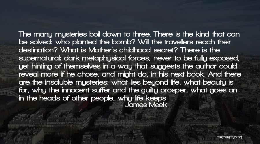 Ones There Is A Will There Is A Way Quotes By James Meek Ones There Is A Will There Is A Way Quotes By James Meek
