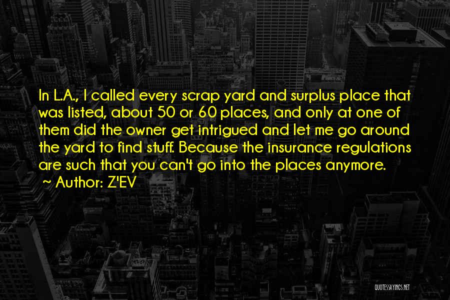 Onesaas Quotes By Z'EV