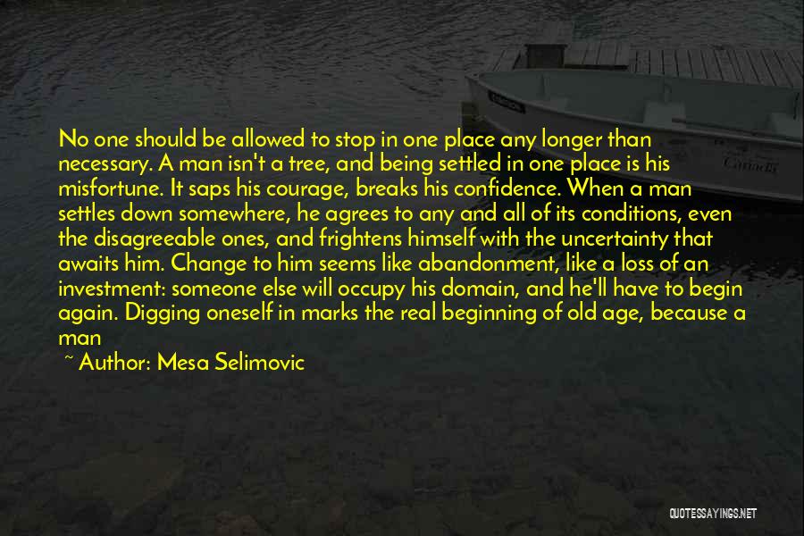 Oneself Change Quotes By Mesa Selimovic