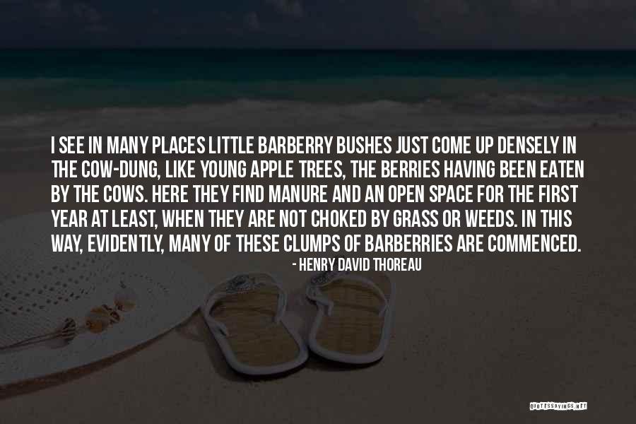 Ongelijkheid Oplossen Quotes By Henry David Thoreau Ongelijkheid Oplossen Quotes By Henry David Thoreau