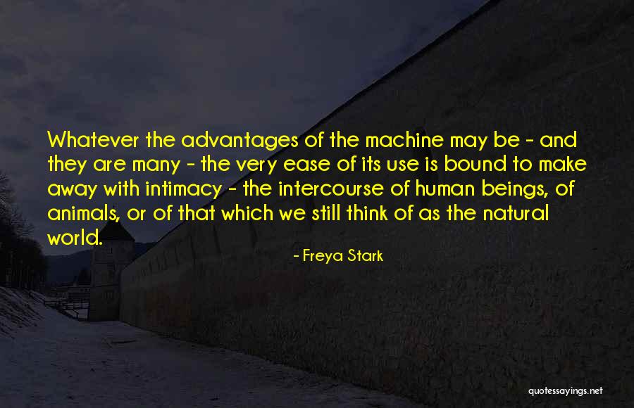 Ongevalle Kommissaris Quotes By Freya Stark Ongevalle Kommissaris Quotes By Freya Stark