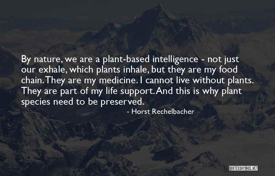 Onigumo Quotes By Horst Rechelbacher Onigumo Quotes By Horst Rechelbacher