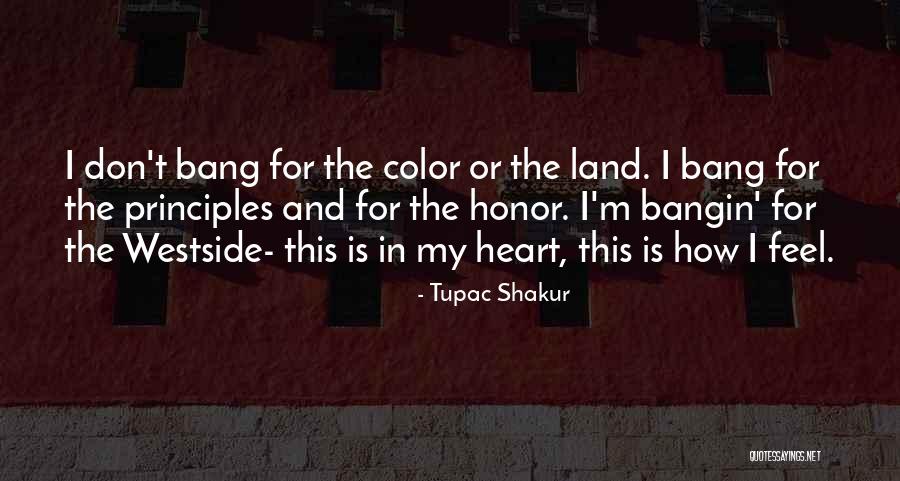 Onionlike Veggie Quotes By Tupac Shakur Onionlike Veggie Quotes By Tupac Shakur