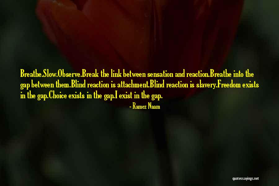 Oniton Castle Quotes By Ramez Naam Oniton Castle Quotes By Ramez Naam