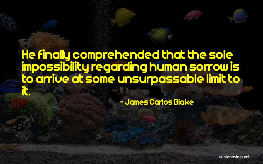Onlarda Hacker Quotes By James Carlos Blake Onlarda Hacker Quotes By James Carlos Blake