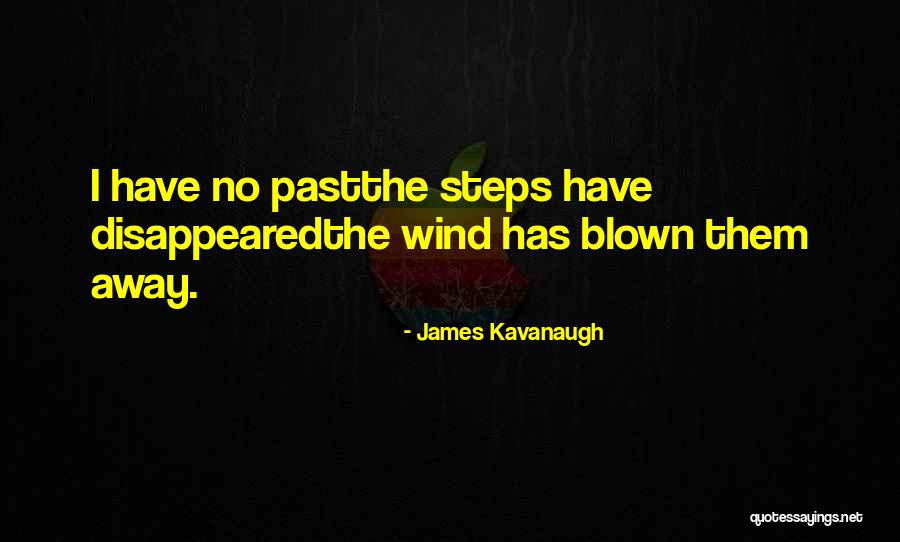 Online Picture Framing Quotes By James Kavanaugh