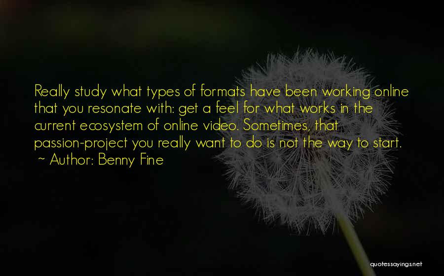 Online Video Quotes By Benny Fine