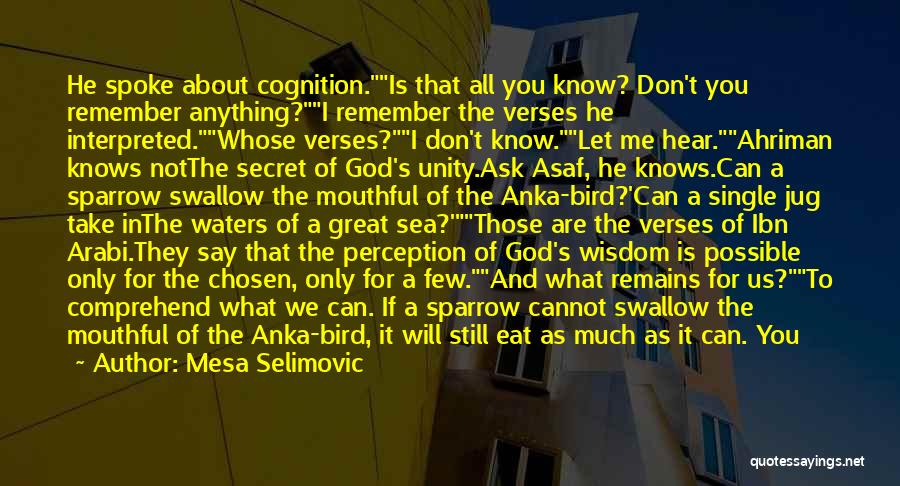 Only A Few Know Me Quotes By Mesa Selimovic