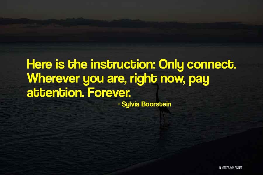 Only Connect Quotes By Sylvia Boorstein Only Connect Quotes By Sylvia Boorstein