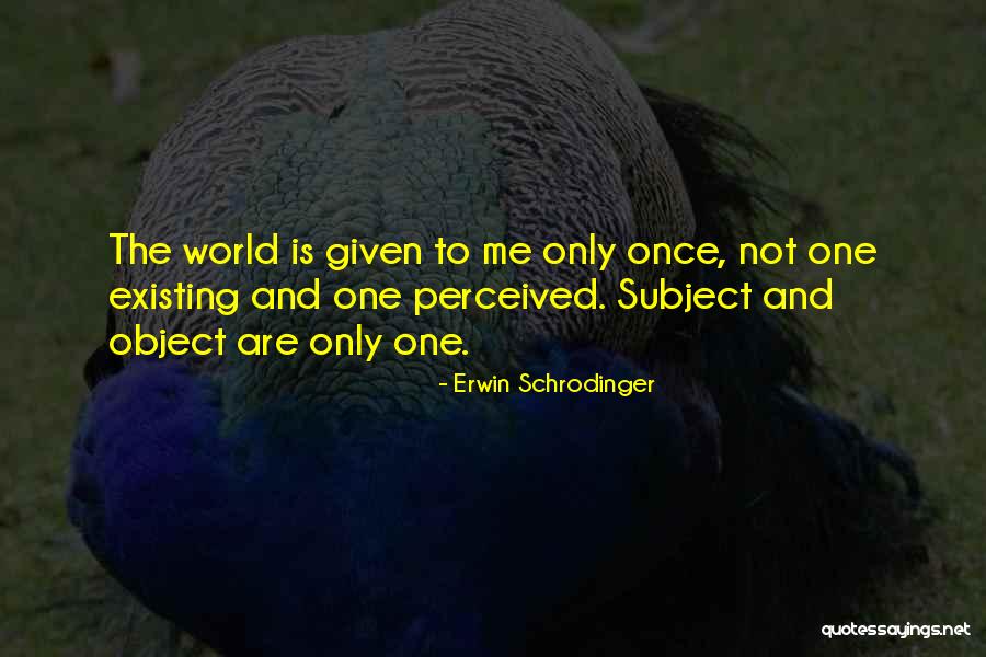 Only Existing Quotes By Erwin Schrodinger