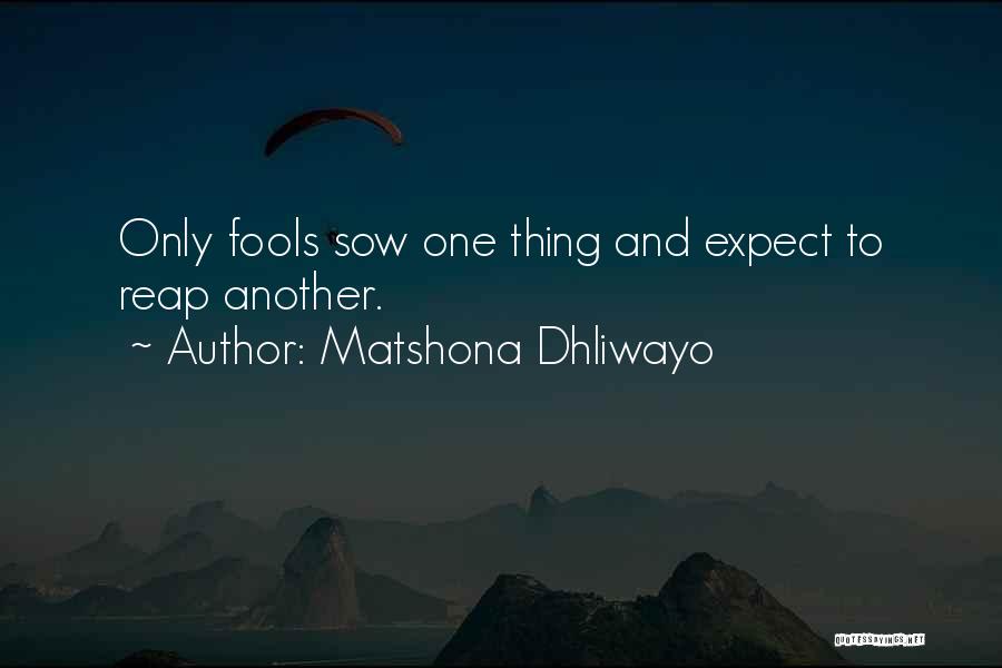 Only Fools Quotes By Matshona Dhliwayo