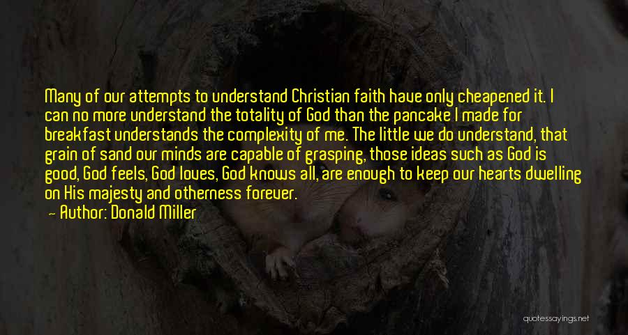 Only God Understands Quotes By Donald Miller