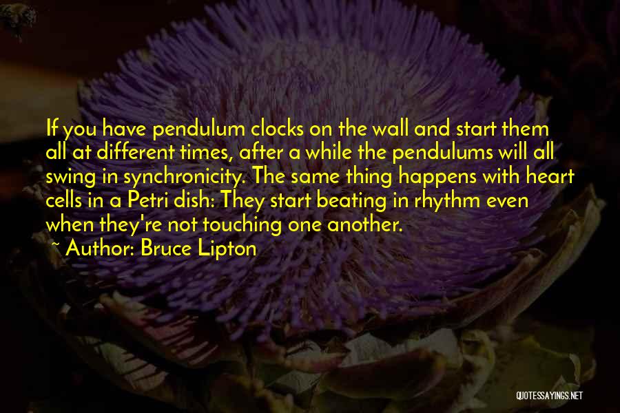 Only Heart Touching Quotes By Bruce Lipton