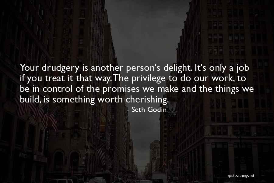 Only If You Quotes By Seth Godin