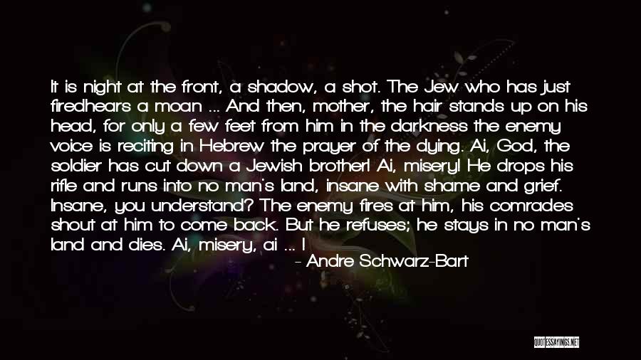 Only In The Darkness Quotes By Andre Schwarz-Bart Only In The Darkness Quotes By Andre Schwarz-Bart