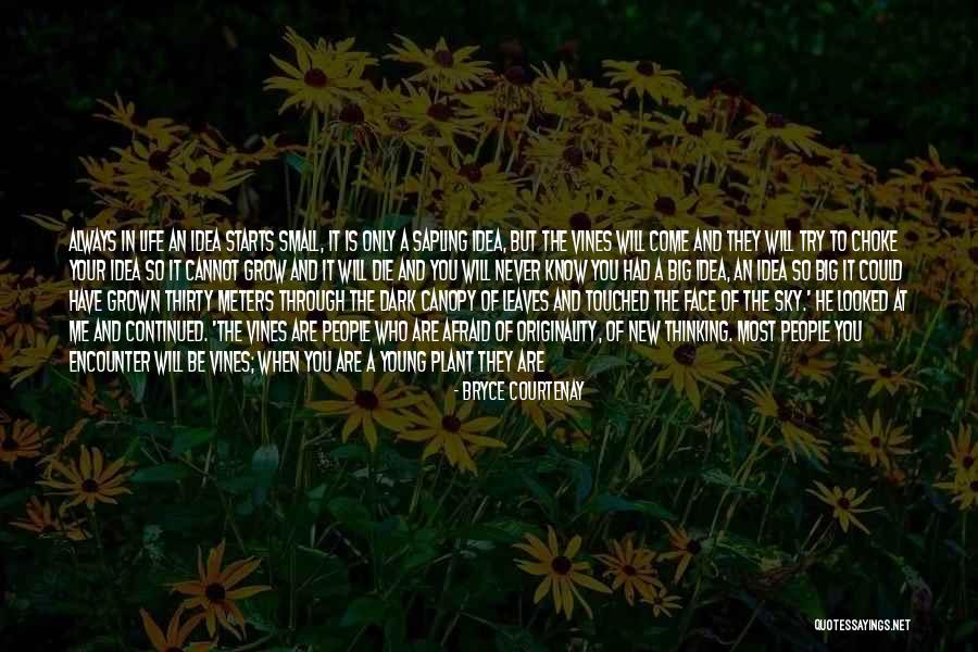 Only Listen To Yourself Quotes By Bryce Courtenay Only Listen To Yourself Quotes By Bryce Courtenay