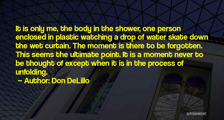 Only One Person Quotes By Don DeLillo