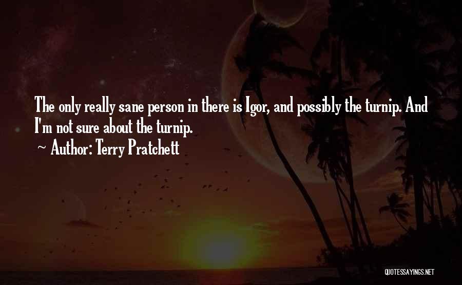 Only Sane Person Quotes By Terry Pratchett