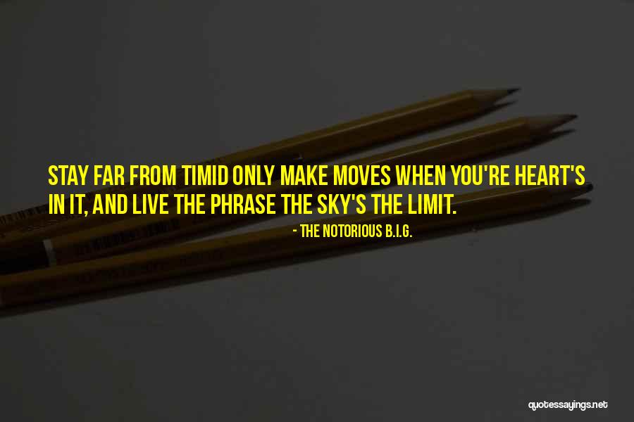 Only Sky's The Limit Quotes By The Notorious B.I.G.