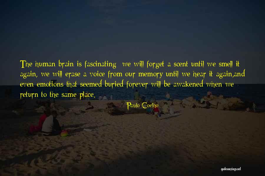 Only Source Of Knowledge Is Experience Quotes By Paulo Coelho Only Source Of Knowledge Is Experience Quotes By Paulo Coelho