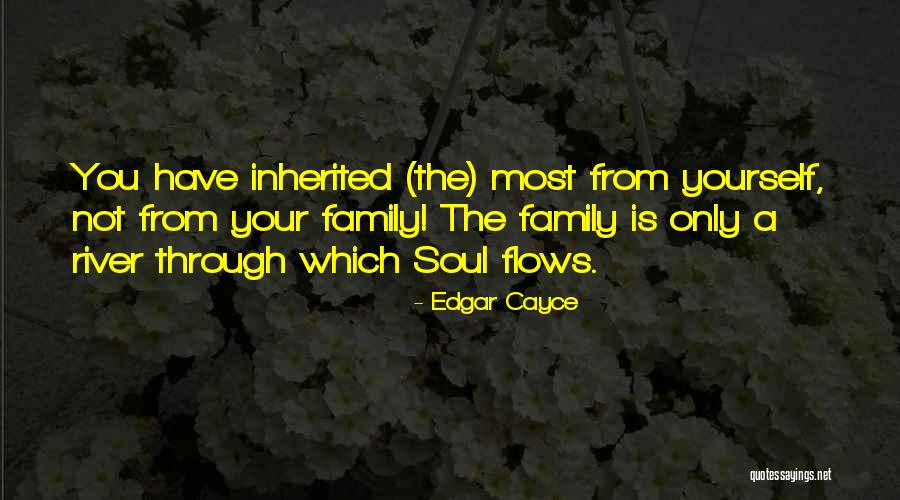 Only The Family Quotes By Edgar Cayce