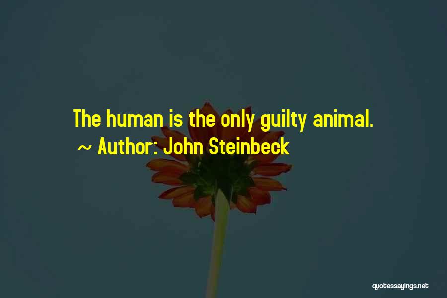 Only The Guilty Quotes By John Steinbeck
